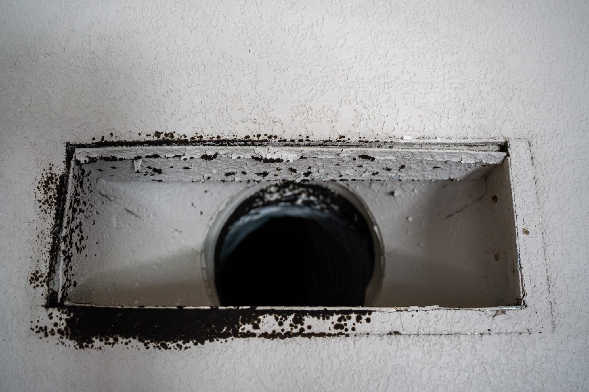 Electronic Air Cleaners vs. Disposable Filters — Which Actually Cleans Phoenix Air?